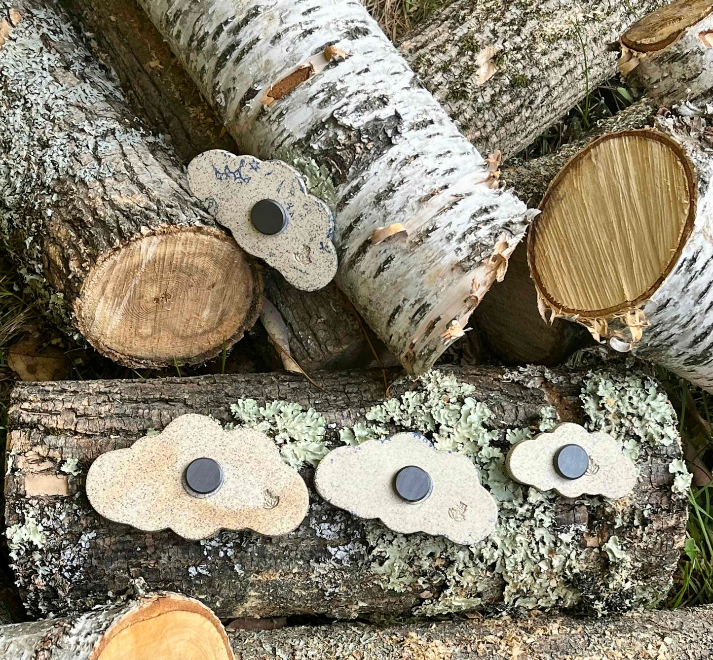 Head in the Clouds Magnet Set