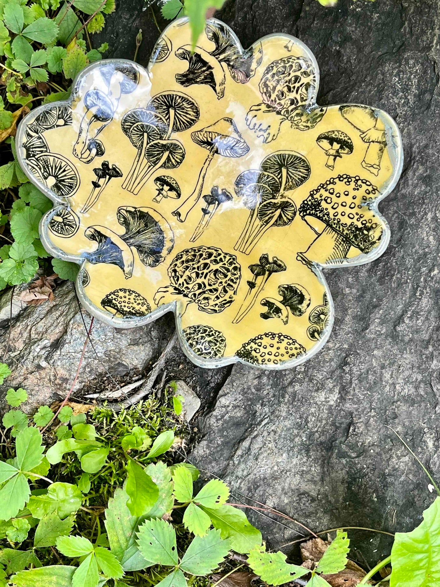 Set of Petal Dishes: Mushroom Pattern