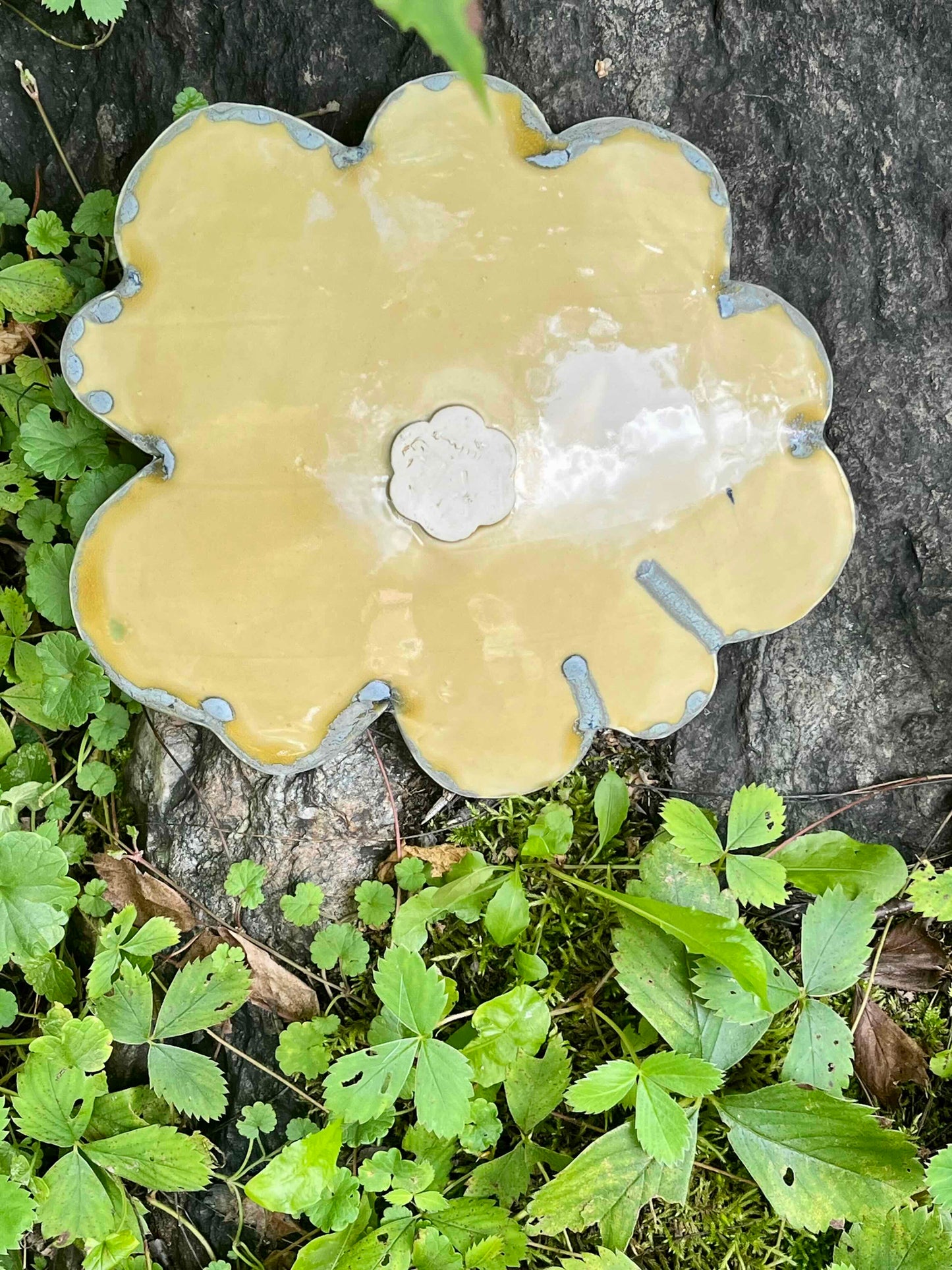 Set of Petal Dishes: Mushroom Pattern