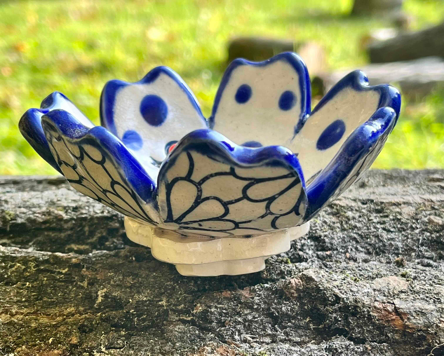 Imperfect Little Chicken Dish