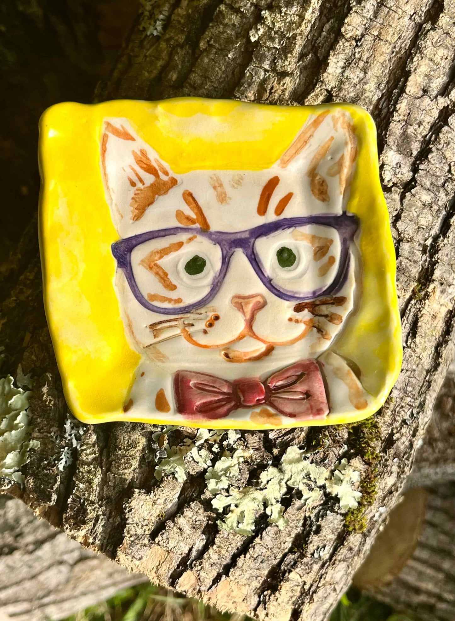 Square Cat Plate